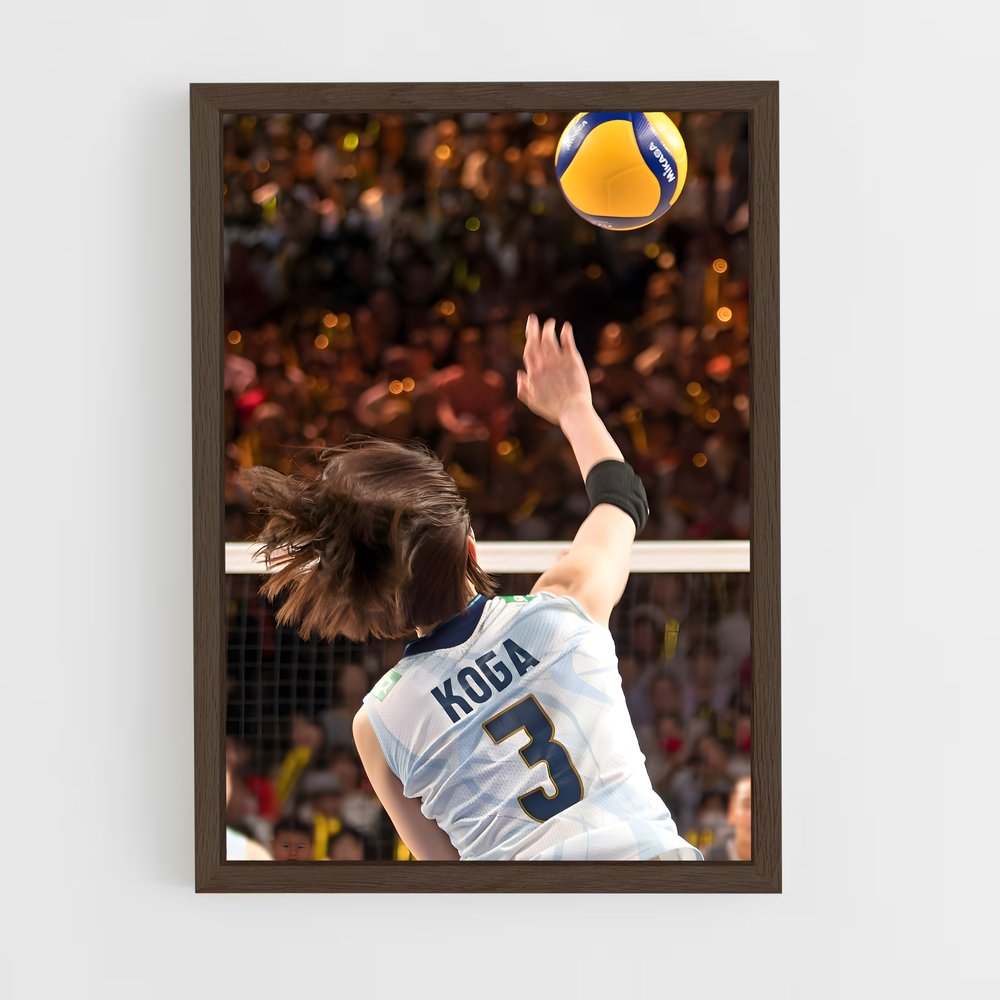Poster Volleyball league (vue 5)